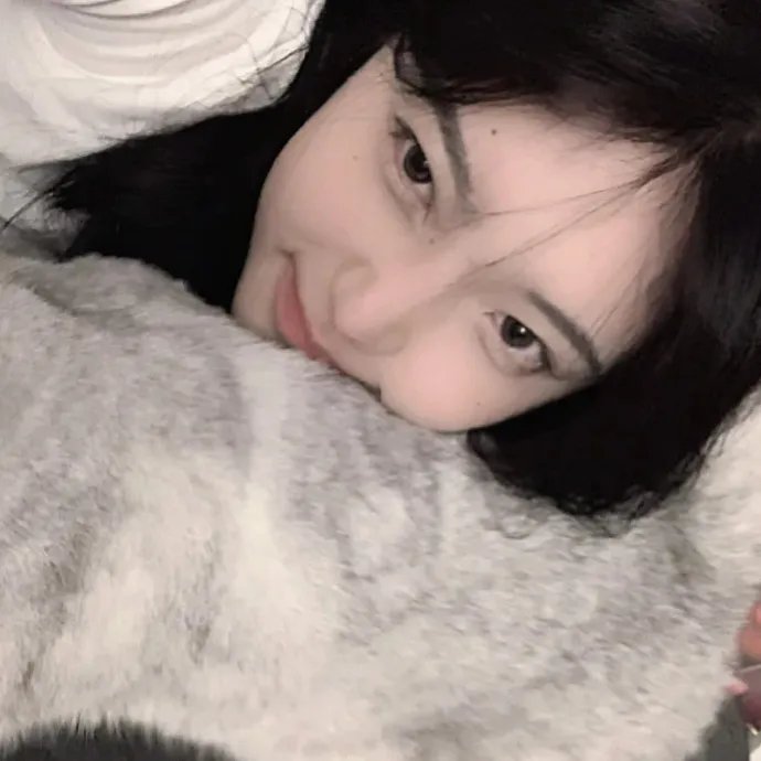 小狗当家